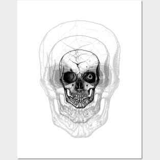 Mediator Skull Posters and Art